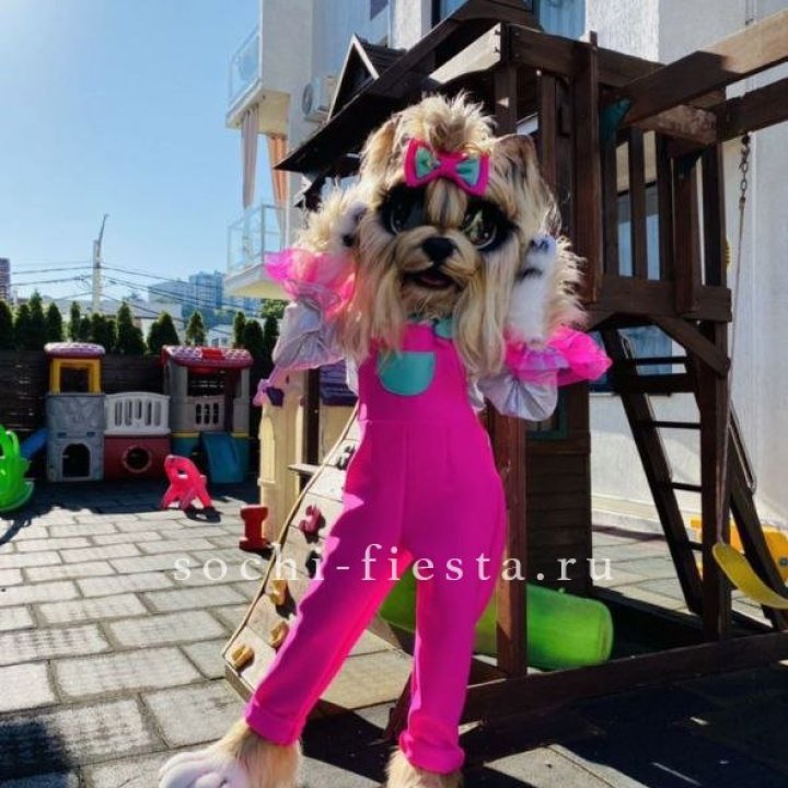 Аниматор Гламурная Собака в Перми