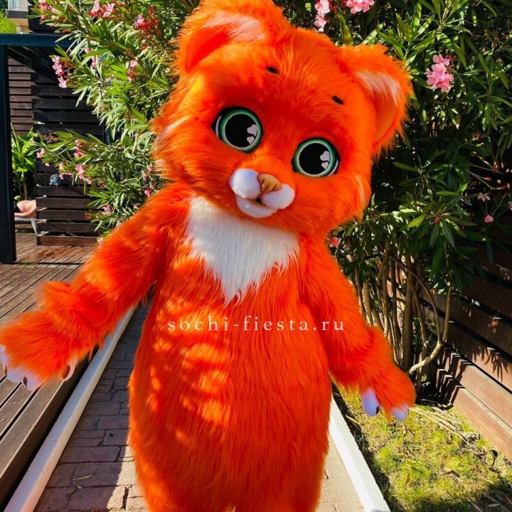 Аниматор Котик в Перми