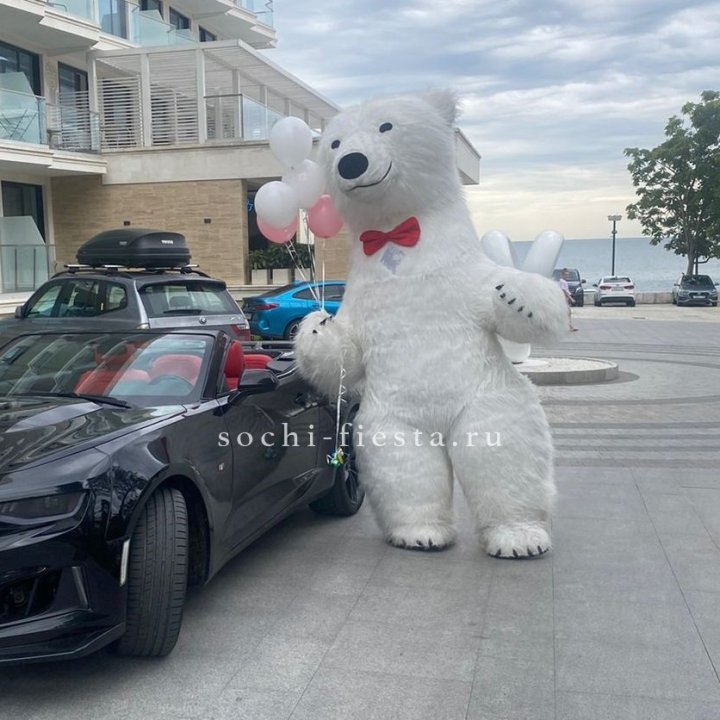 Аниматор Белый Медведь в Перми