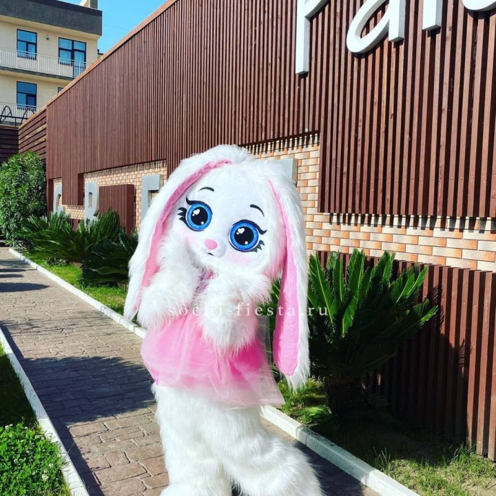 Аниматор Зайка в Перми