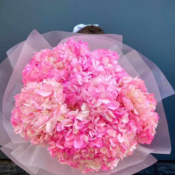 9 ярко розовых гортензий в Перми