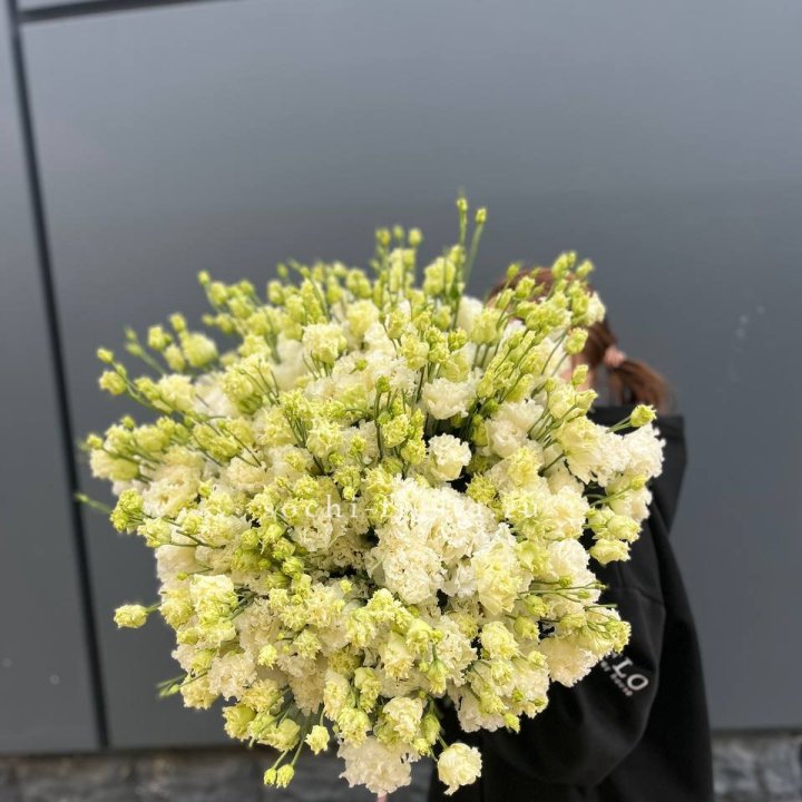 51 белая эустома в Перми