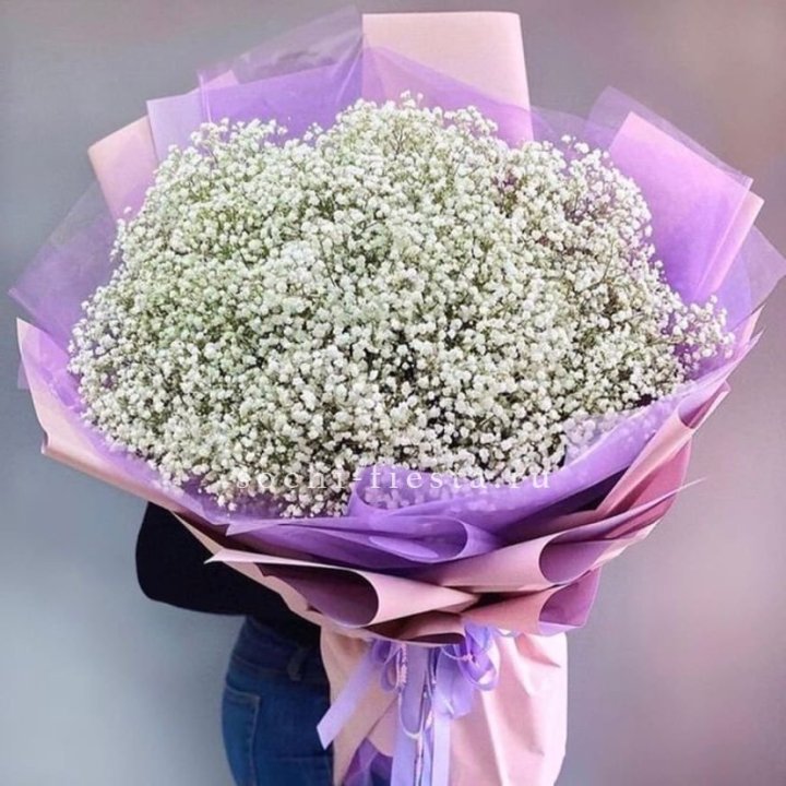 Облако белых гипсофил в Перми