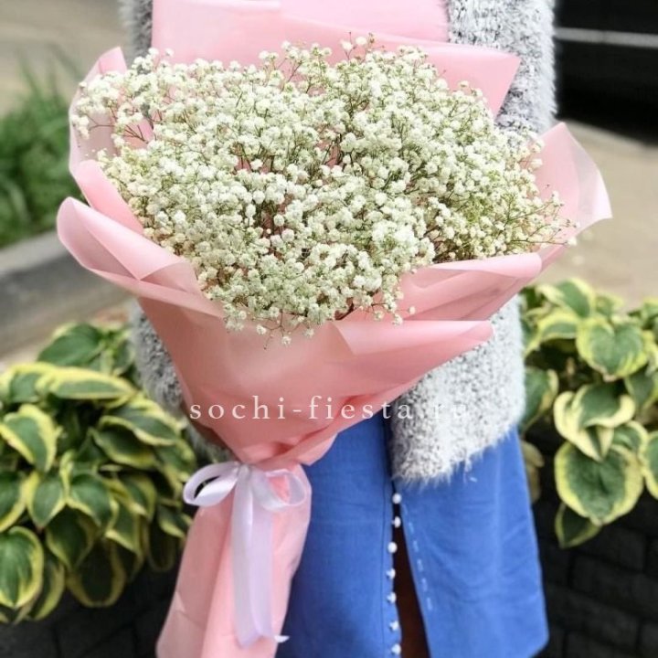 Белоснежные гипсофилы в Перми