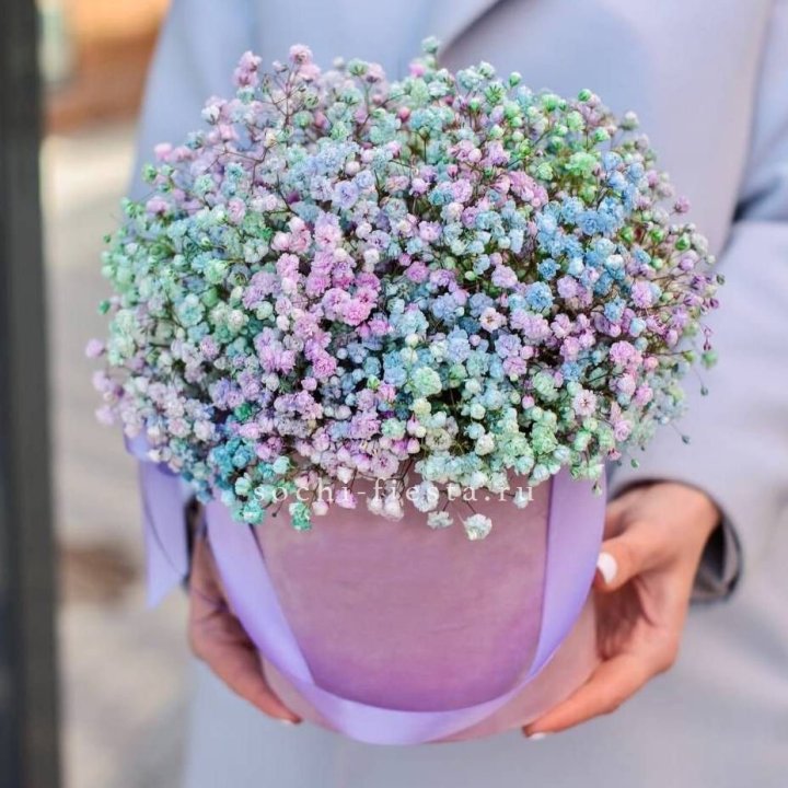 Гипсофилы в шляпной коробке "Кандилайт" в Перми