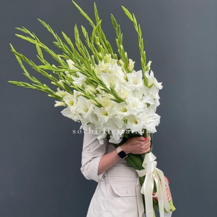 19 белых гладиолусов под ленту в Перми