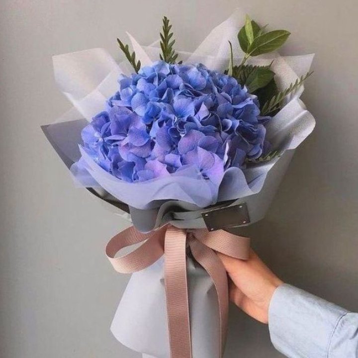 Гортензия голубая в Перми