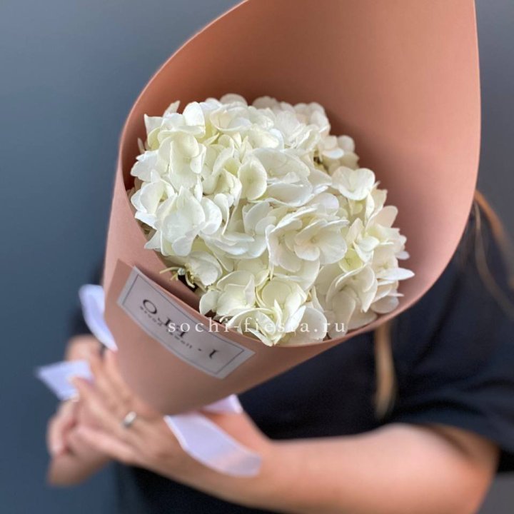 Гортензия в конверте в Перми