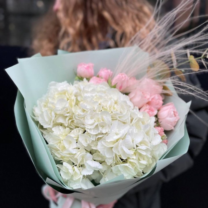 Гортензия "Жасмин" в Перми