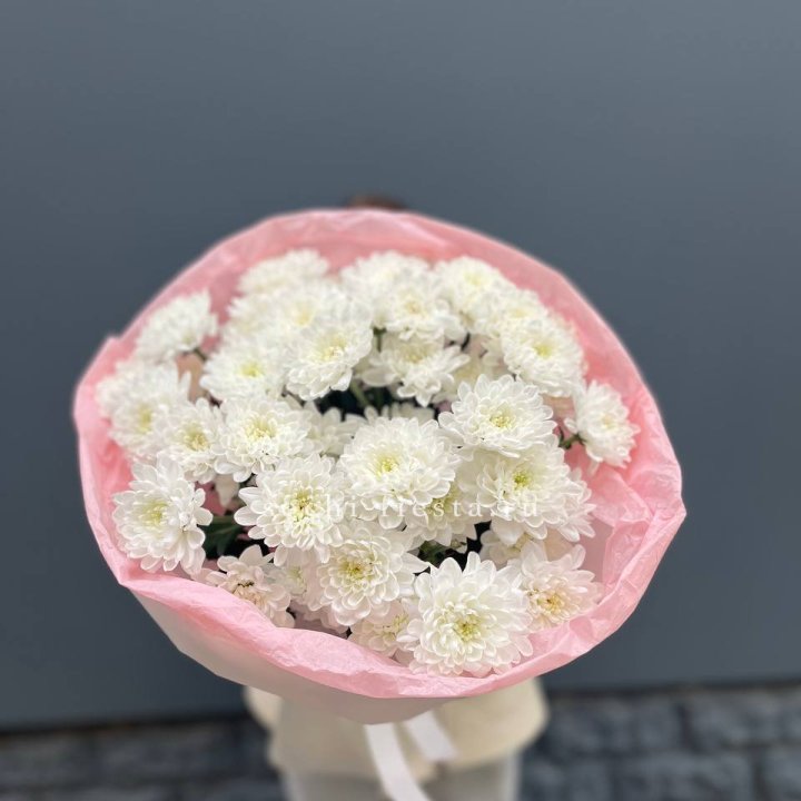  5 хризантем  в Перми