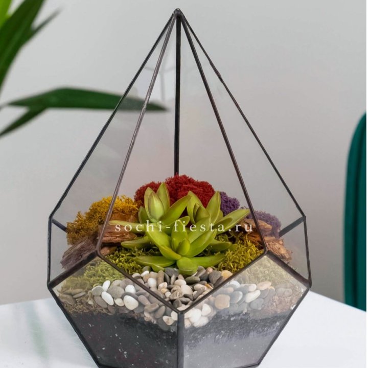 Флорариум Капля с суккулентом в Перми