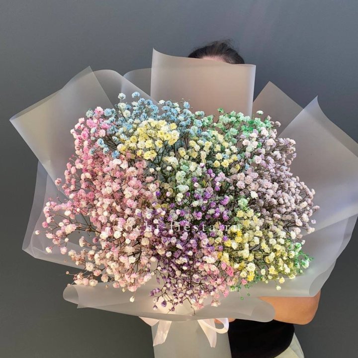 Радужные гипсофилы  в Перми