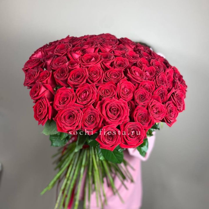 101  голландская роза  в Перми