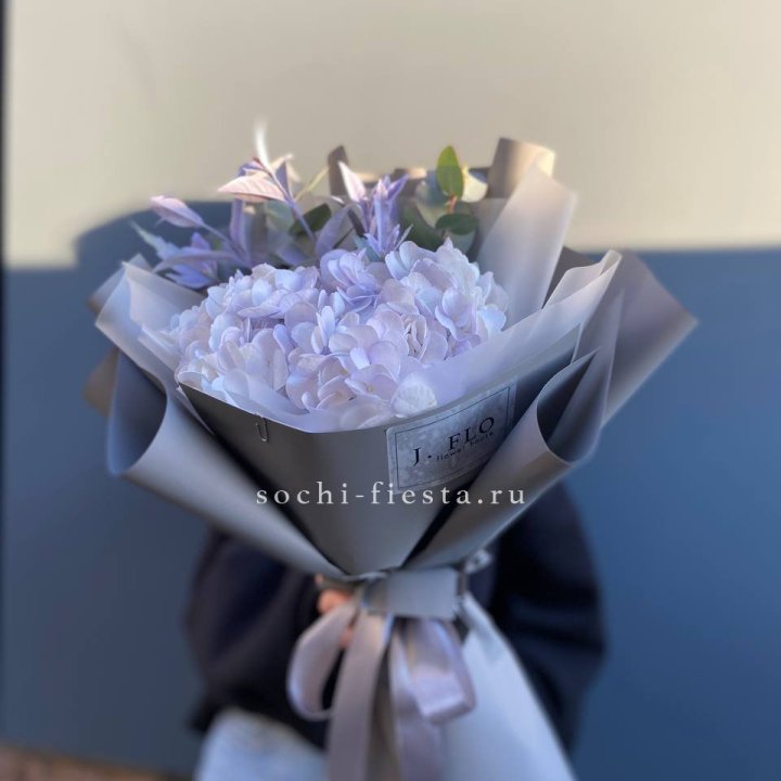 Гортензия "Виолета" в Перми