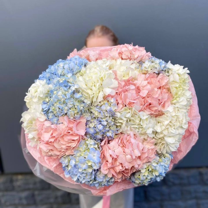 19 гортензий микс в Перми