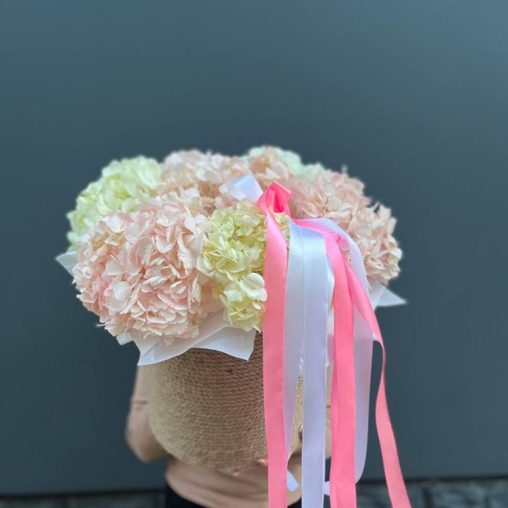 7 гортензий в кашпо в Перми