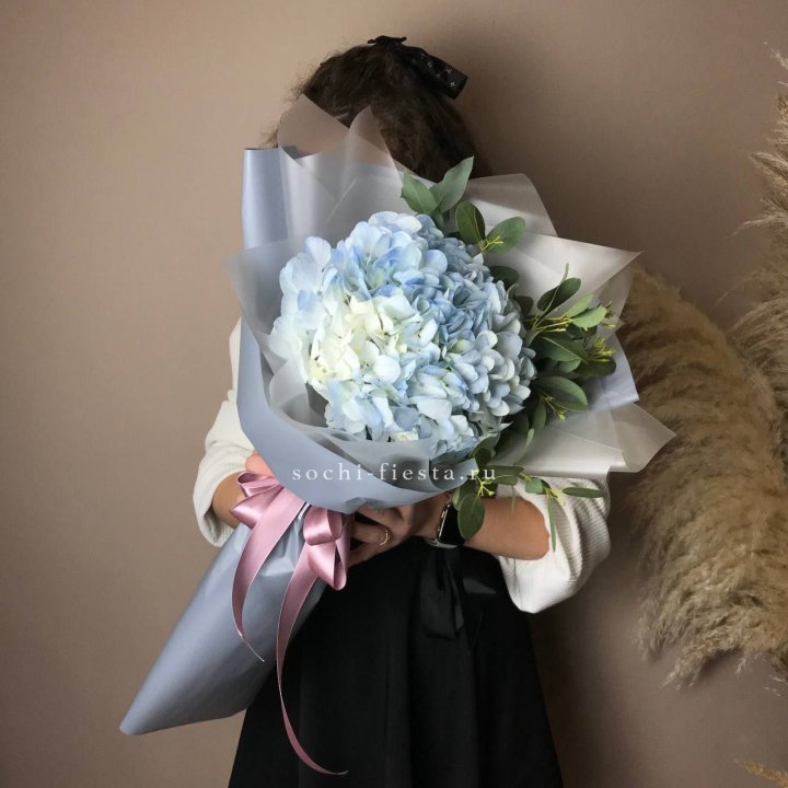 Гортензия Уно в Перми