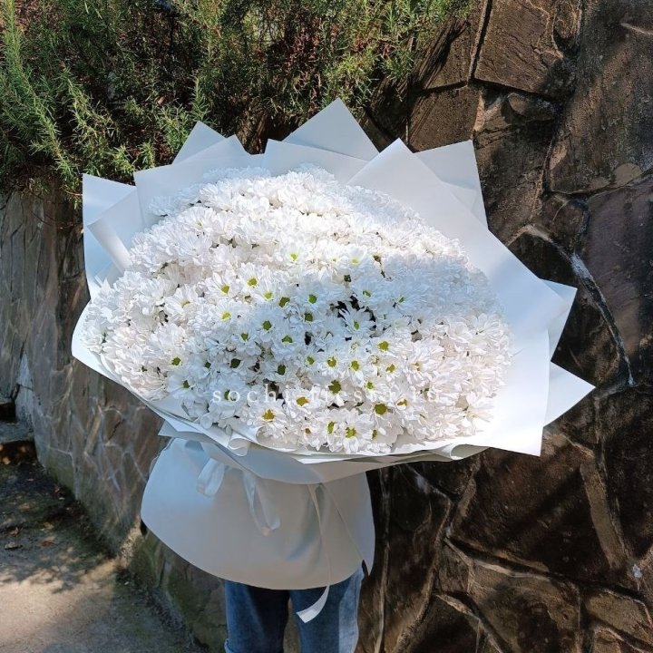 Облако хризантем №2 в Перми