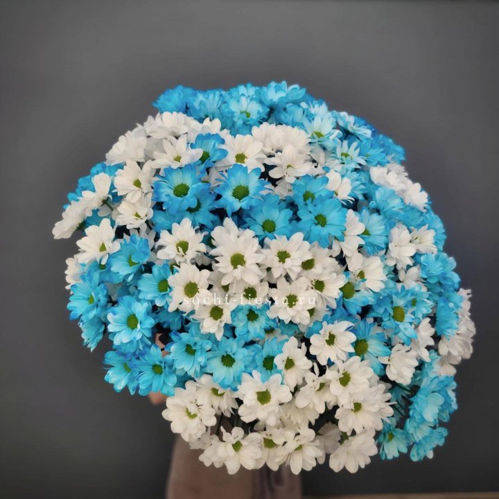  Букет хризантем микс в Перми