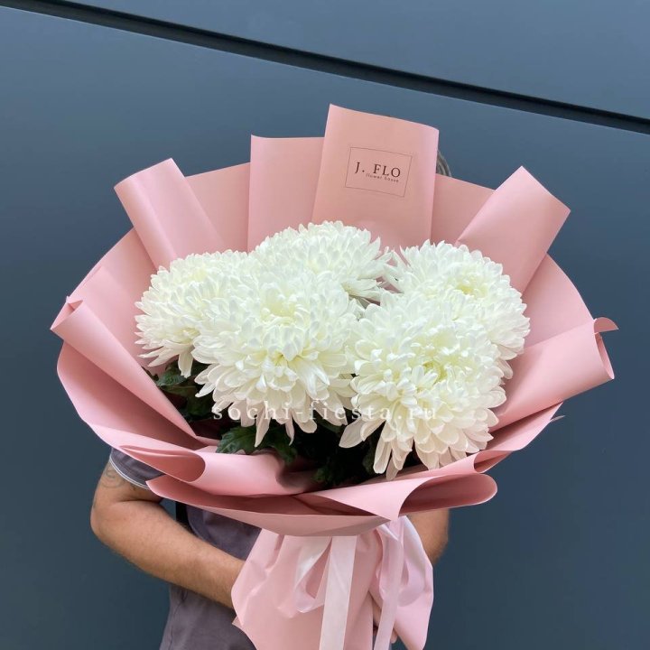 Профитроли №2 в Перми