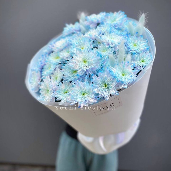  Букет нежно-голубых хризантем  в Перми