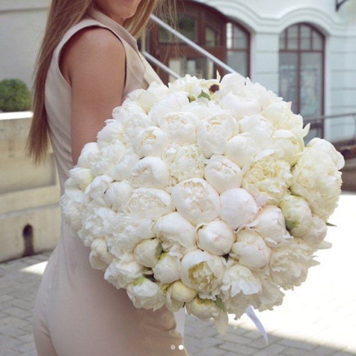 51 белый пион в Перми