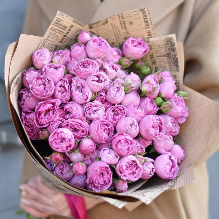 Роза Мисти Баблс в Перми