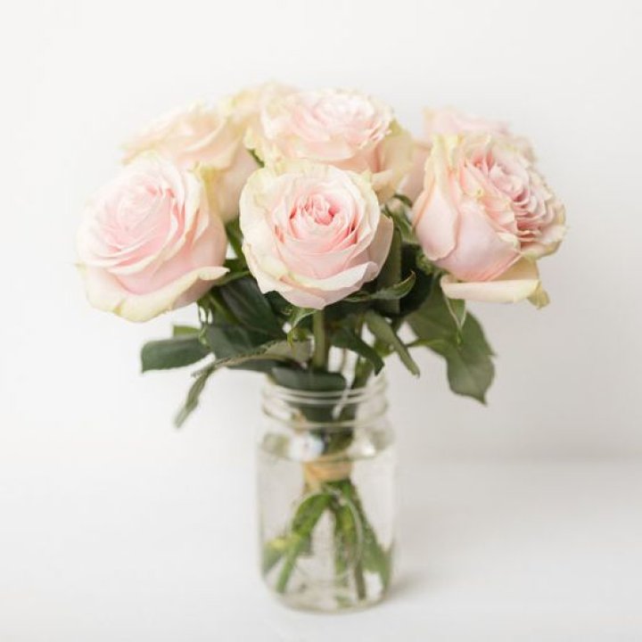 7 кремовых роз в Перми