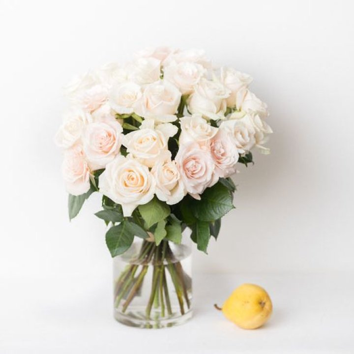 25 кремовых роз в Перми