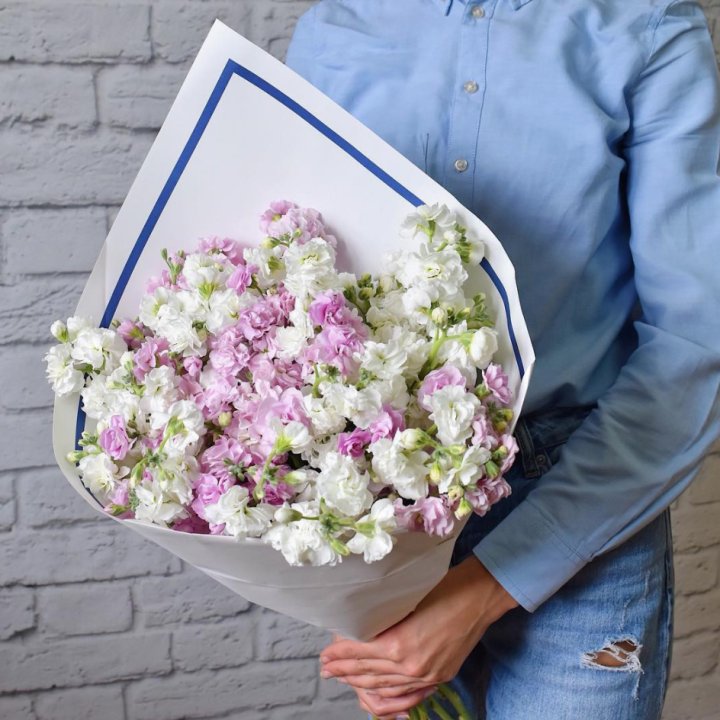 Маттиола в Перми