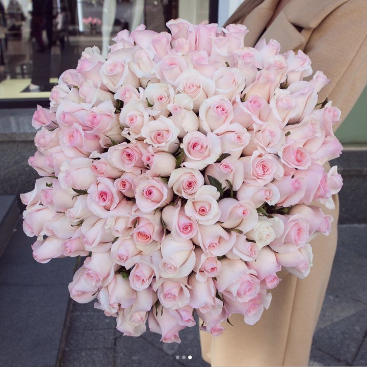 Розы "Пинк бум" в Перми