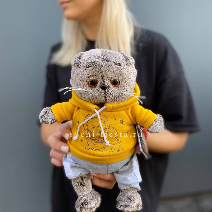 Кот Басик в худи в Перми