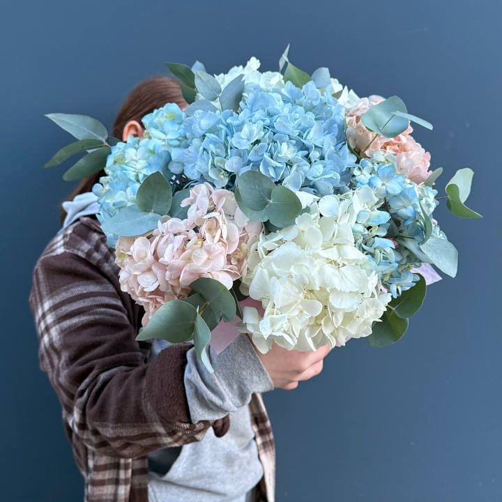 Гортензии в коробочке в Перми