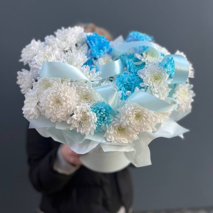 Хризнтемы в боксе в Перми