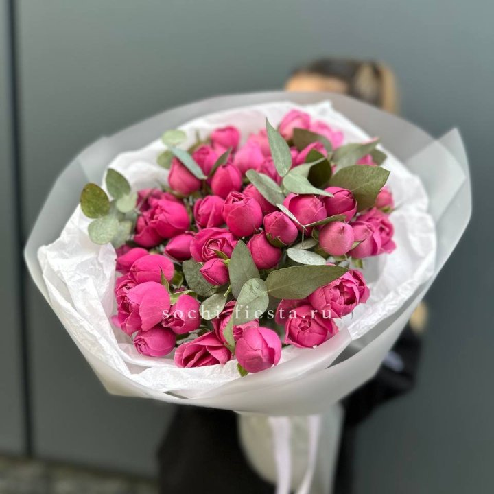 17 Мисти бабблс в Перми