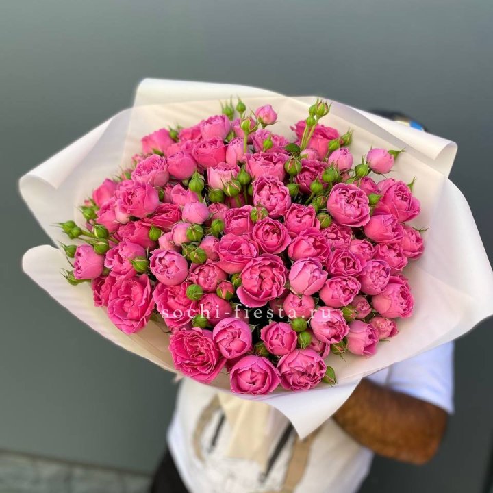 Мисти Баблс 35шт в Перми