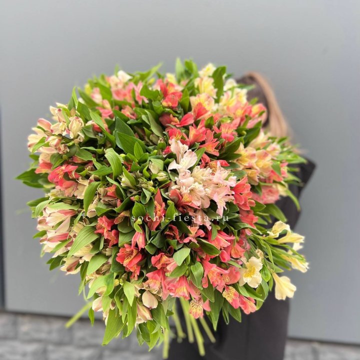 51 альстромерия в Перми