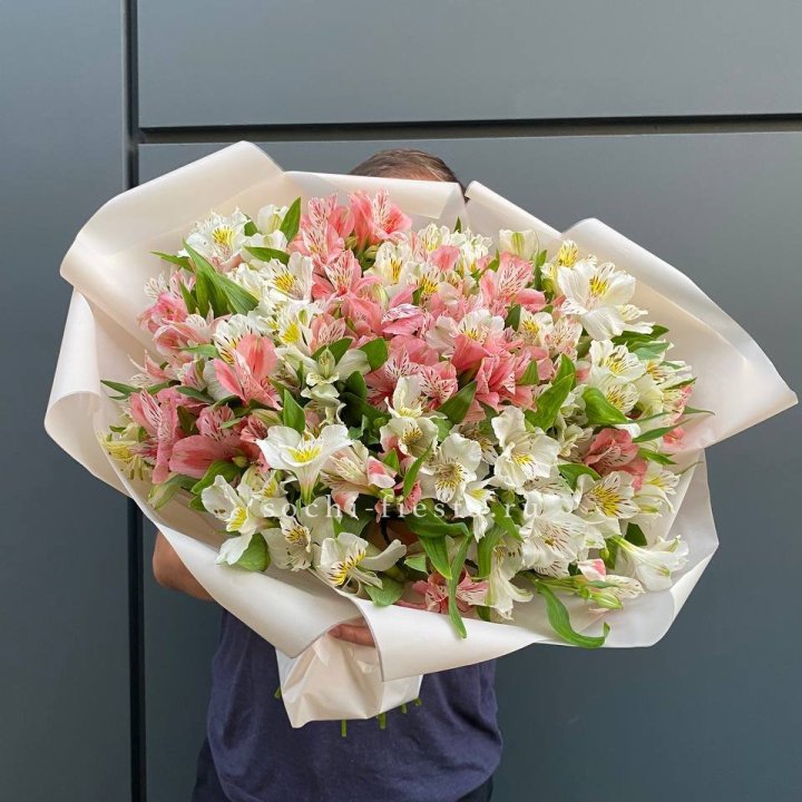 39 альстромерий в Перми