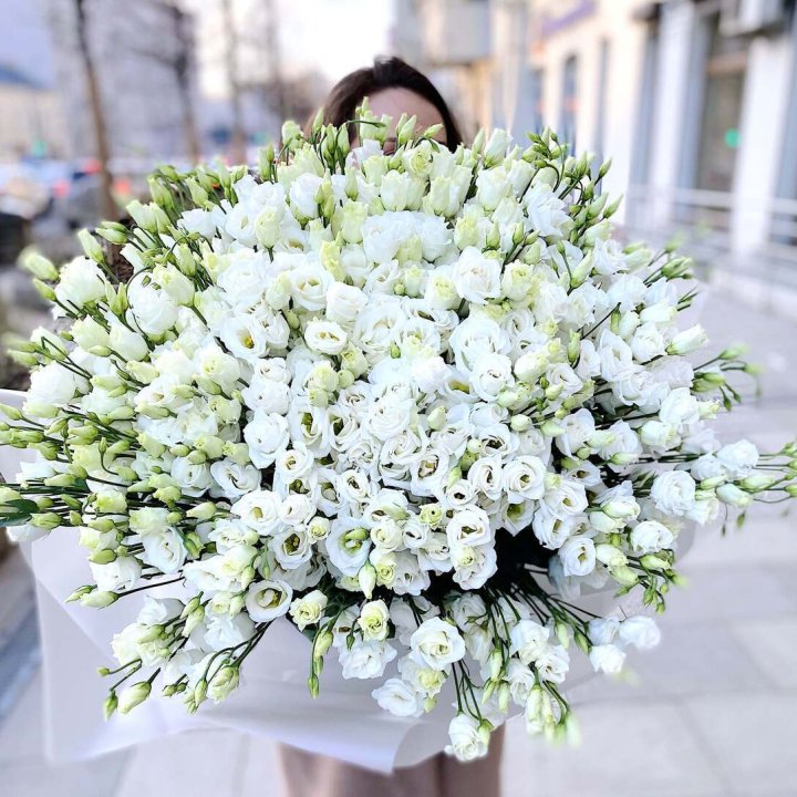 101 белая эустома в Перми