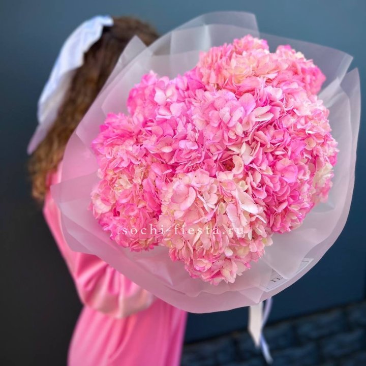 7 ярко розовых гортензий в Перми