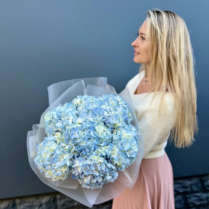 7 голубых гортензий в Перми