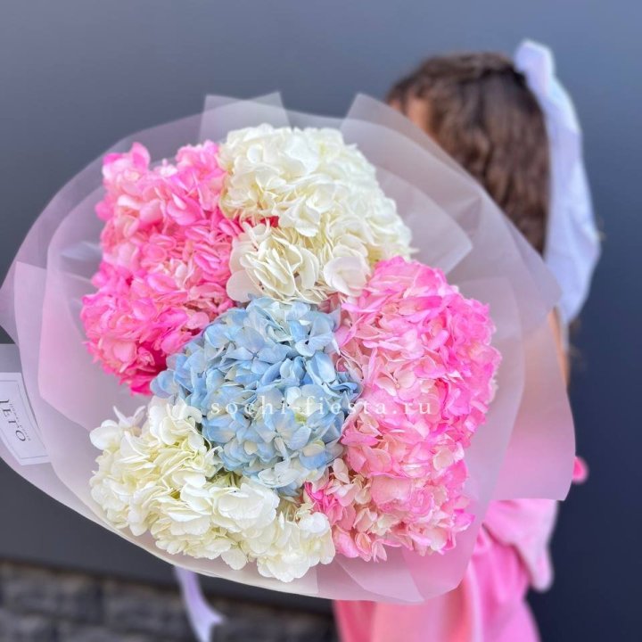 7 гортензий микс в Перми