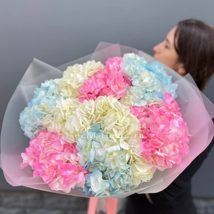 9 гортензий микс в Перми