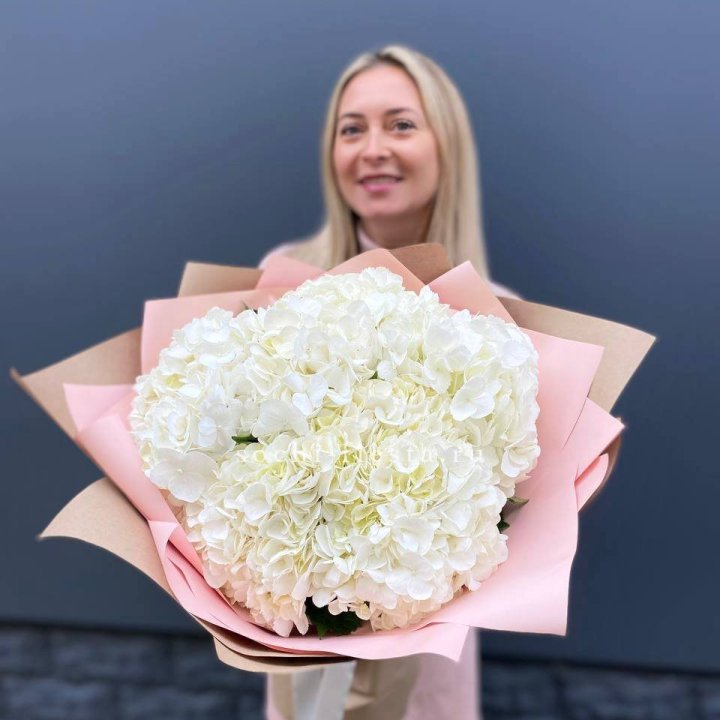 Гортензия белая в Перми