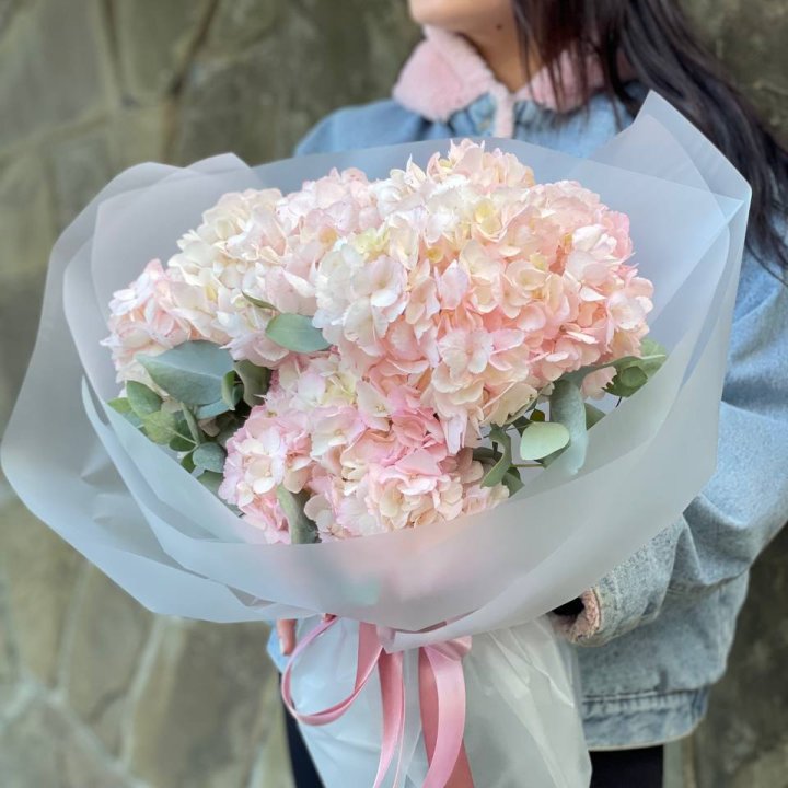 5 розовых гортензий в Перми