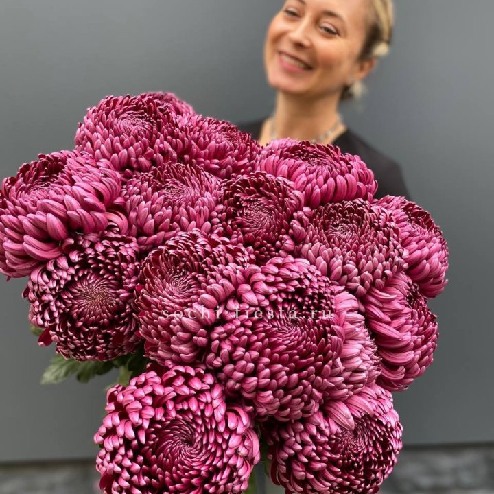 Охапка хризантем Бигуди в Перми