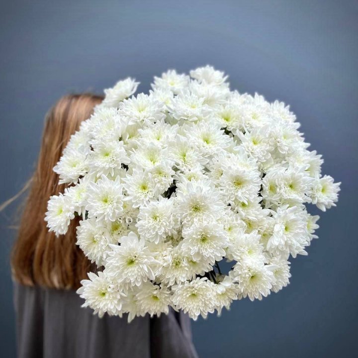 Охапка Хризантемы кустовой в Перми