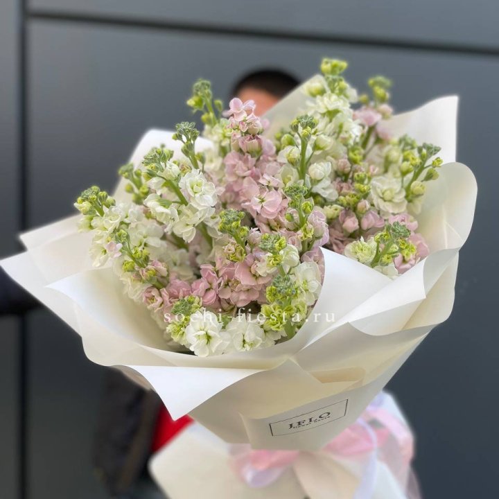 29 маттиол  в Перми