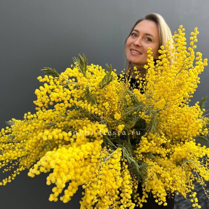 Охапка мимозы №2 в Перми