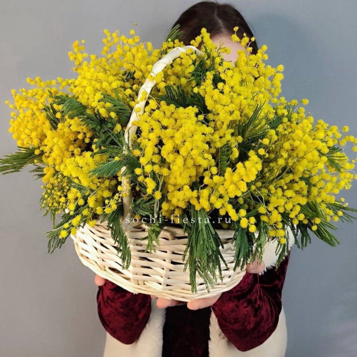 Корзина ароматной мимозы в Перми